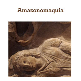 Amazonomaquia