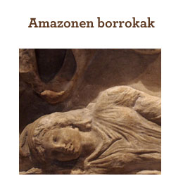 Amazonen borrokak