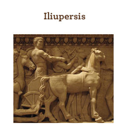 Iliupersis